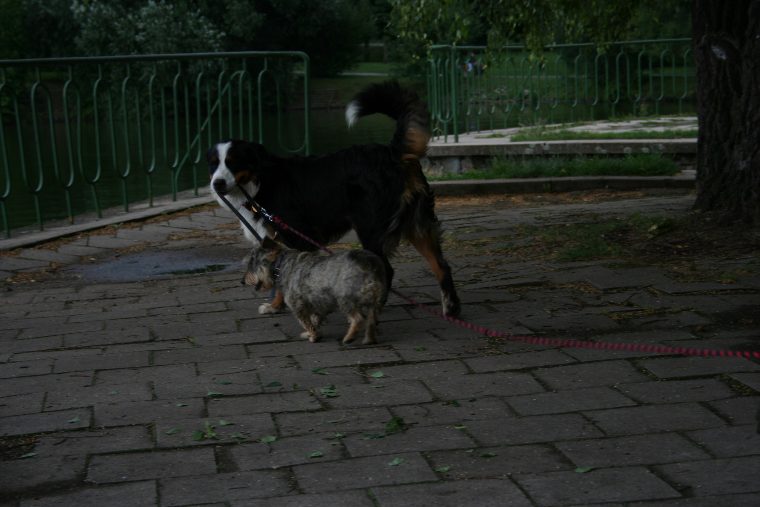 IMG_9669.JPG