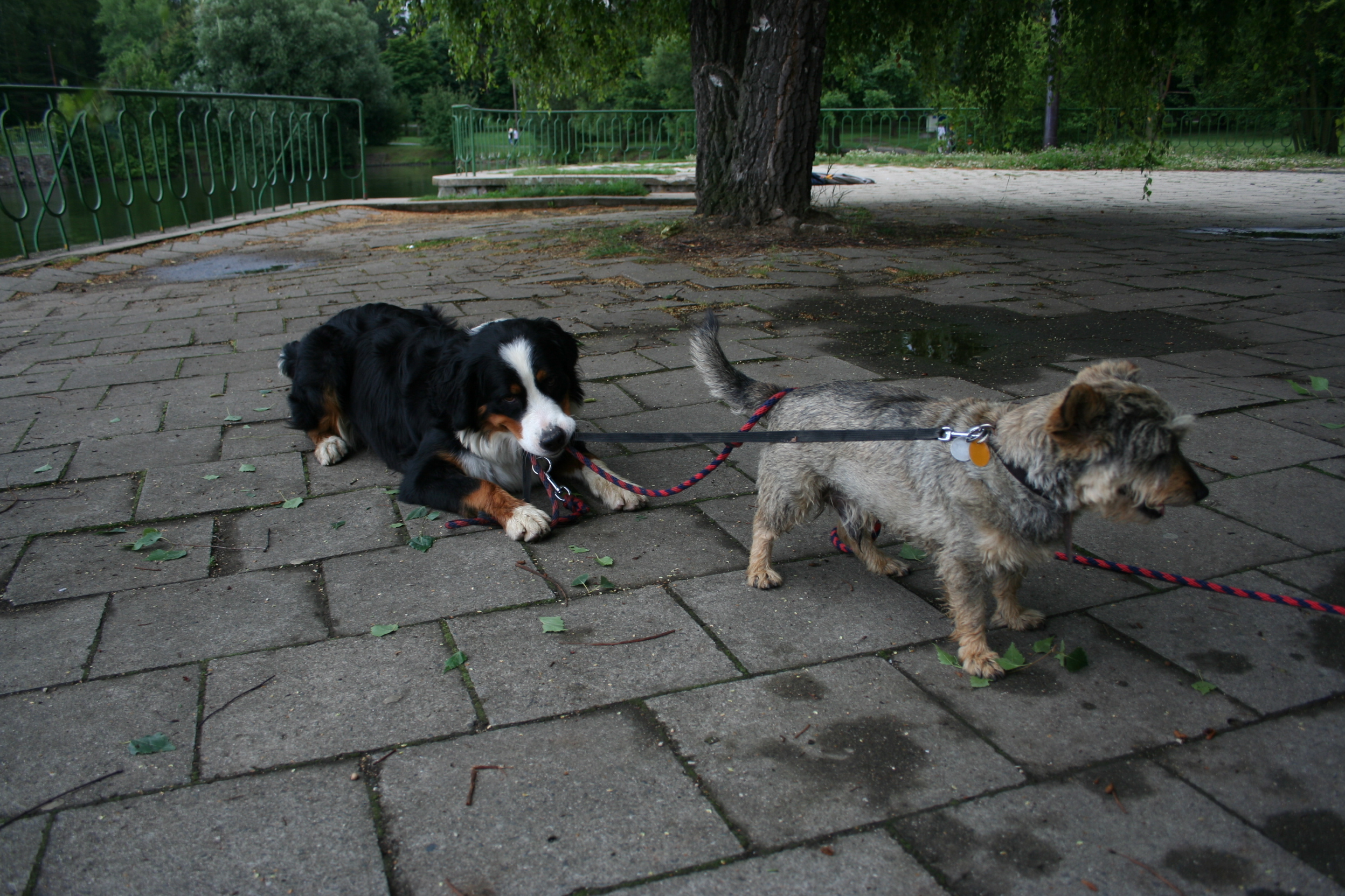IMG_9687.JPG